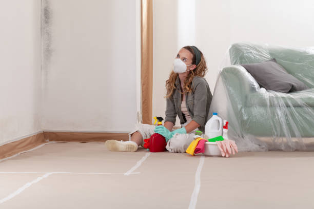 Reliable Mold Remediation contractor in Albertson, NY by Cheap Mold Removal